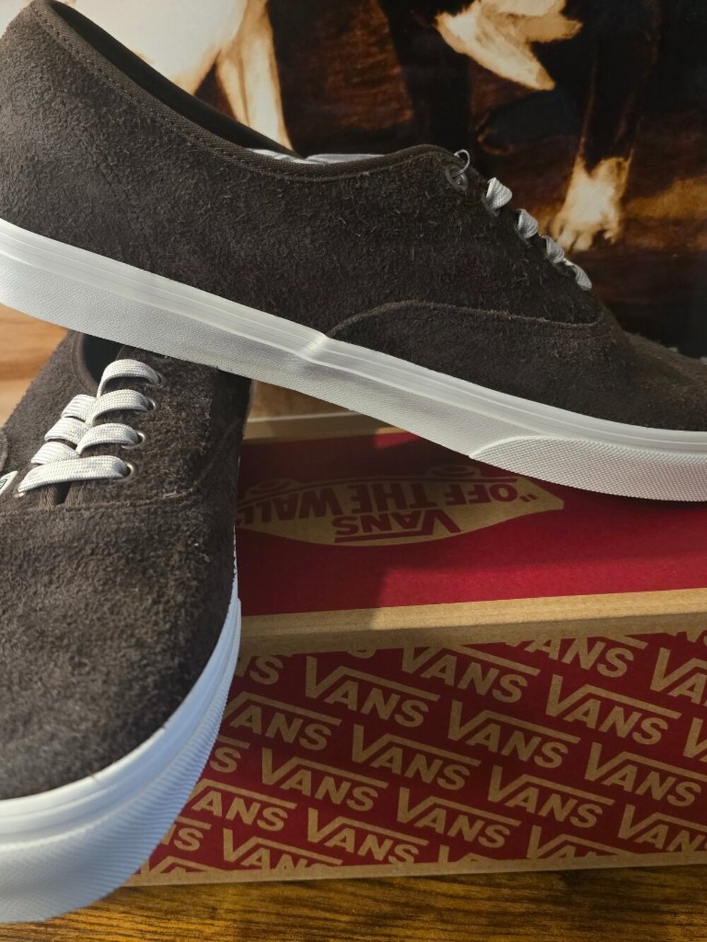 VANS Authentic Classic Skate Shoes HIKER BROWN SUEDE 2026 VN000D7YBF0 Mens 12 US